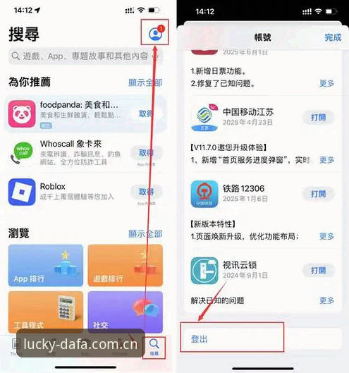 大发彩票官方安卓版使用指南：从下载到上手的完整操作教程